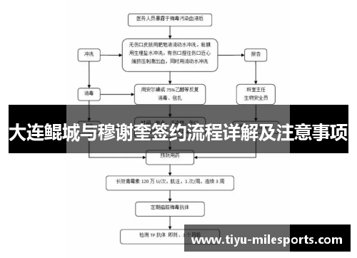 大连鲲城与穆谢奎签约流程详解及注意事项
