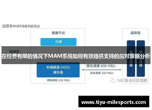 在经费有限的情况下MAM系统如何有效提供支持的应对策略分析